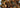 Kale-lapinių kopūstų traškučiai.