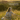 HOLISTIC (Female hormone balancing program)